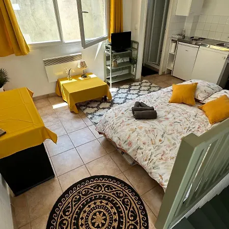 Apartment Face Au Canal Du Midi Carcassonne
